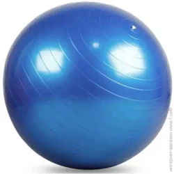 Мяч Мяч Easyfit Фитбол синий d55 EF-3006