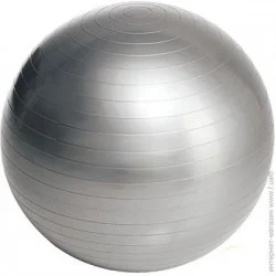 Мяч Мяч Easyfit Фитбол серый d75 EF-3008