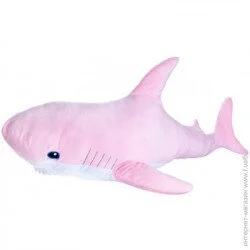 '  '  Fancy  40  (AKL3R)