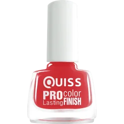  Quiss    6      003 (4823082013418)